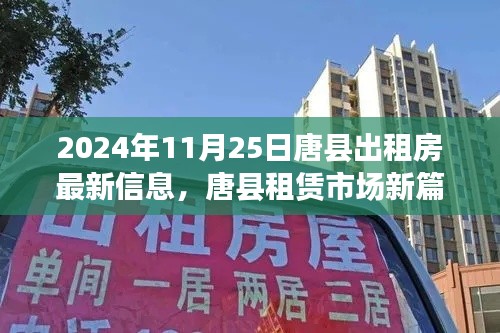 唐县租赁市场新篇章，深度解析最新出租房信息（2024年11月25日）