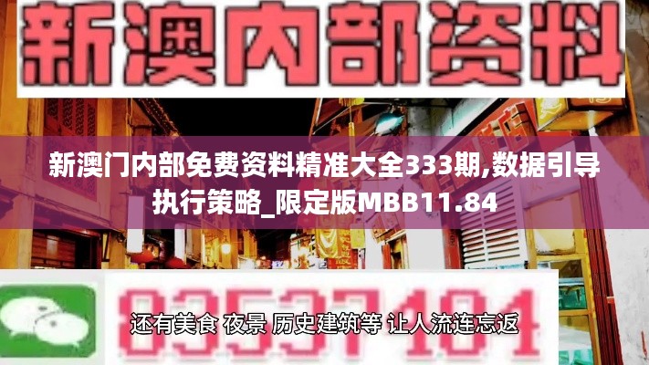 新澳门内部免费资料精准大全333期,数据引导执行策略_限定版MBB11.84