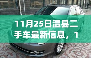 11月25日温县二手车最新信息，11月25日温县二手车新动态，一场驶向自然的探索之旅，寻找内心的宁静与平和