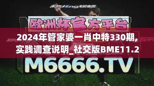 2024年管家婆一肖中特330期,实践调查说明_社交版BME11.26