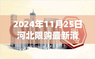 2024年河北限购政策最新动态深度解析，楼市调控新观察