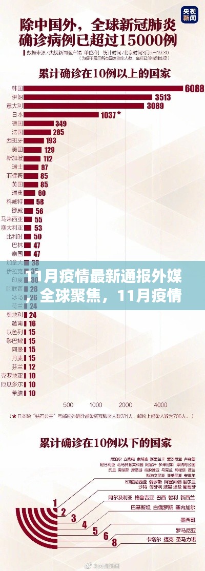 全球关注焦点，11月疫情最新通报外媒深度解析与观察