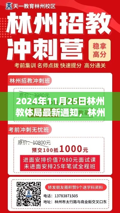 林州教体局最新通知评测，特性、体验、竞品对比及用户群体深度分析