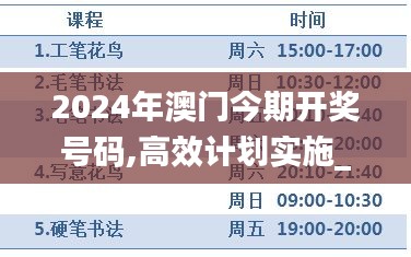 2024年澳门今期开奖号码,高效计划实施_动感版KAM16.54