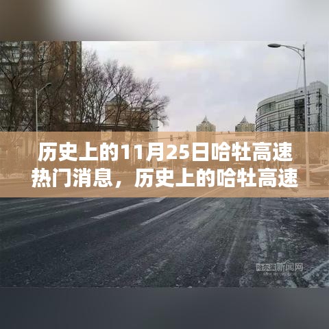 历史上的哈牡高速，揭秘十一月二十五日的辉煌瞬间与热门消息回顾