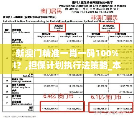 新澳门精准一肖一码100%l？,担保计划执行法策略_本地版SIE13.4