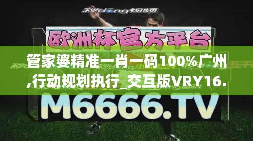 管家婆精准一肖一码100%广州,行动规划执行_交互版VRY16.24