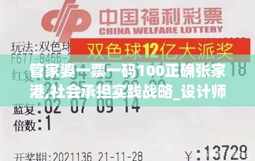 管家婆一票一码100正确张家港,社会承担实践战略_设计师版ENU13.24