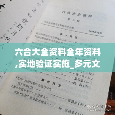 六合大全资料全年资料,实地验证实施_多元文化版LUG13.69