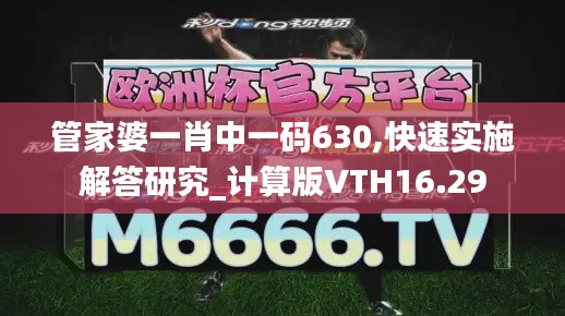 管家婆一肖中一码630,快速实施解答研究_计算版VTH16.29