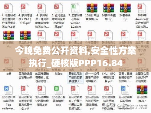 今晚免费公开资料,安全性方案执行_硬核版PPP16.84