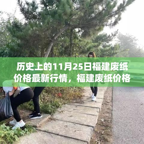 福建废纸价格背后的温情故事，友情与陪伴的秋日回忆，历史上的最新行情回顾