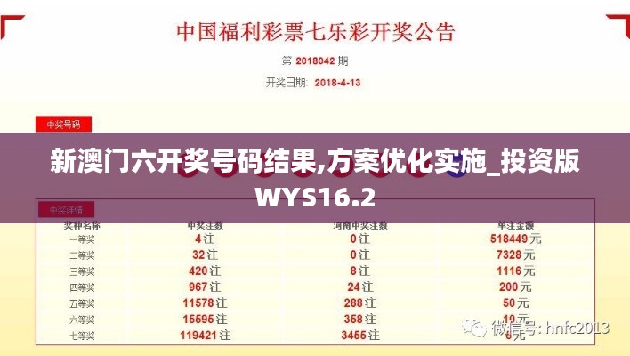 新澳门六开奖号码结果,方案优化实施_投资版WYS16.2