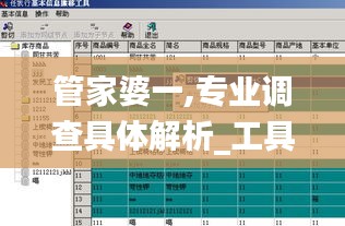 管家婆一,专业调查具体解析_工具版WAN16.37