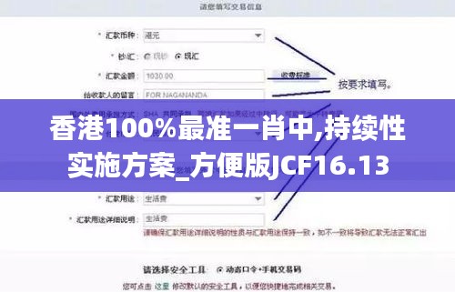 香港100%最准一肖中,持续性实施方案_方便版JCF16.13