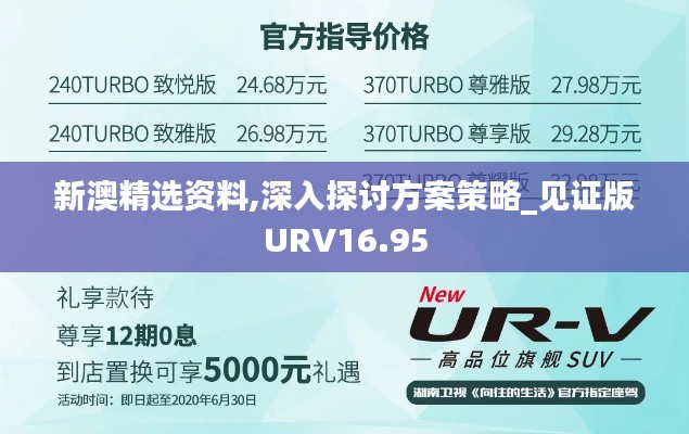 新澳精选资料,深入探讨方案策略_见证版URV16.95