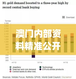 澳门内部资料精准公开,统计信息解析说明_云技术版ZOF16.51