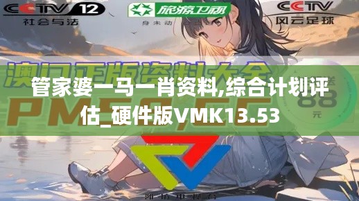 管家婆一马一肖资料,综合计划评估_硬件版VMK13.53