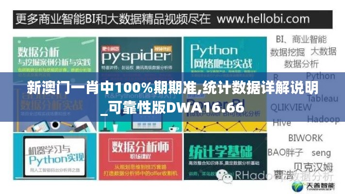 新澳门一肖中100%期期准,统计数据详解说明_可靠性版DWA16.66