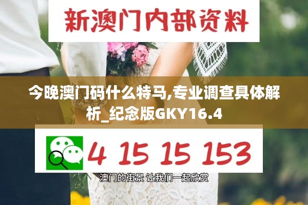 今晚澳门码什么特马,专业调查具体解析_纪念版GKY16.4