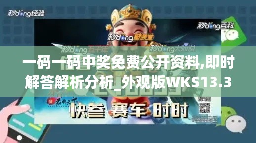 一码一码中奖免费公开资料,即时解答解析分析_外观版WKS13.39