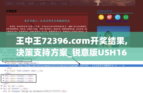 王中王72396.cσm开奖结果,决策支持方案_锐意版USH16.63