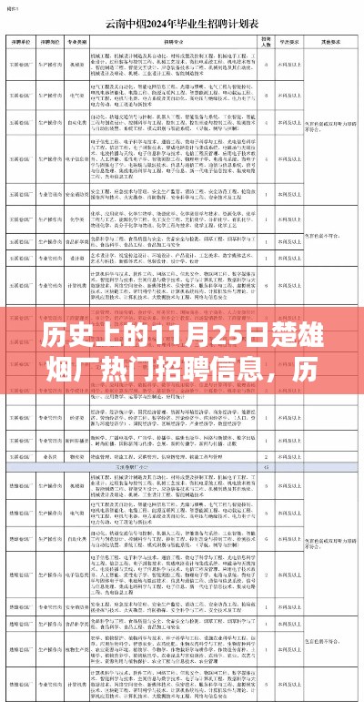 揭秘历史11月25日楚雄烟厂热门招聘信息内幕