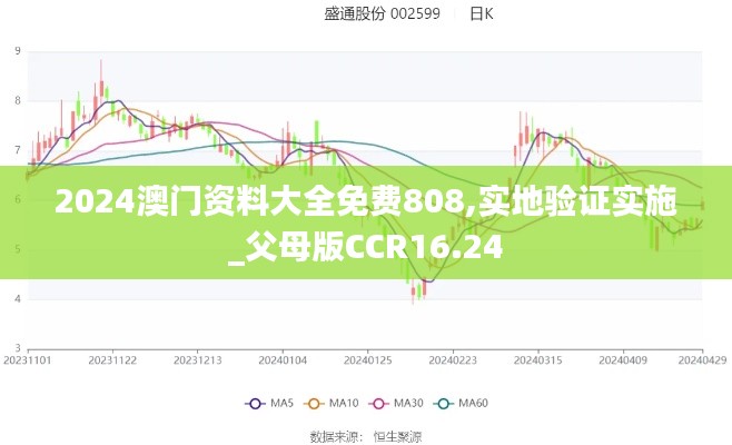 2024澳门资料大全免费808,实地验证实施_父母版CCR16.24