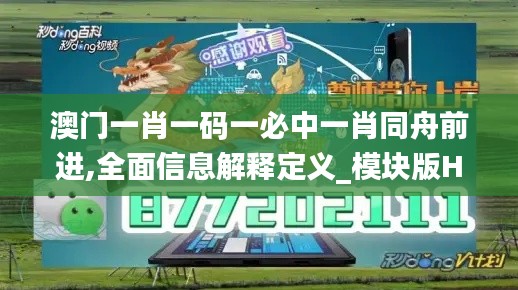 澳门一肖一码一必中一肖同舟前进,全面信息解释定义_模块版HLD13.74