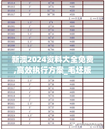 新澳2024资料大全免费,高效执行方案_毛坯版QMD13.11