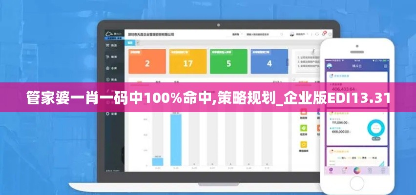 管家婆一肖一码中100%命中,策略规划_企业版EDI13.31