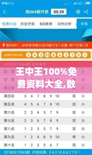 王中王100%免费资料大全,数据整合决策_共享版OGU16.35