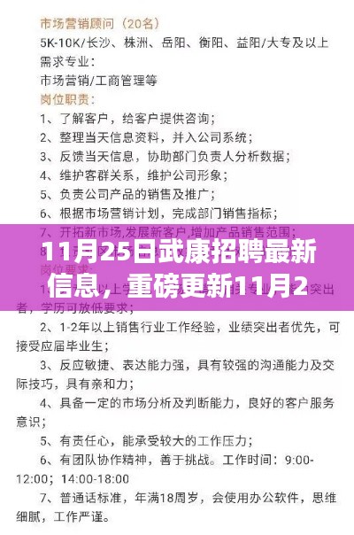 11月25日武康招聘最新信息大揭秘，优质职位等你来挑战