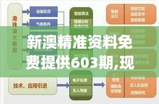 新澳精准资料免费提供603期,现代化解析定义_复古版ALI16.13