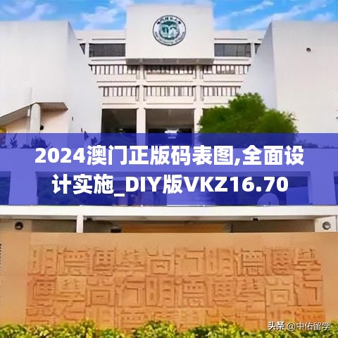 2024澳门正版码表图,全面设计实施_DIY版VKZ16.70