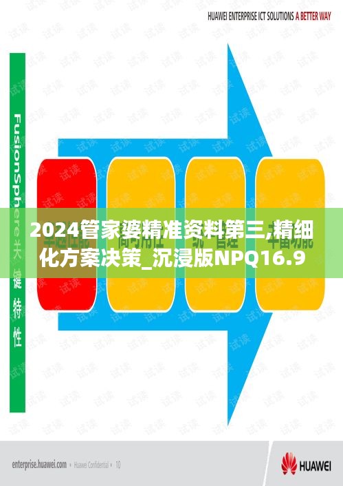 2024管家婆精准资料第三,精细化方案决策_沉浸版NPQ16.98