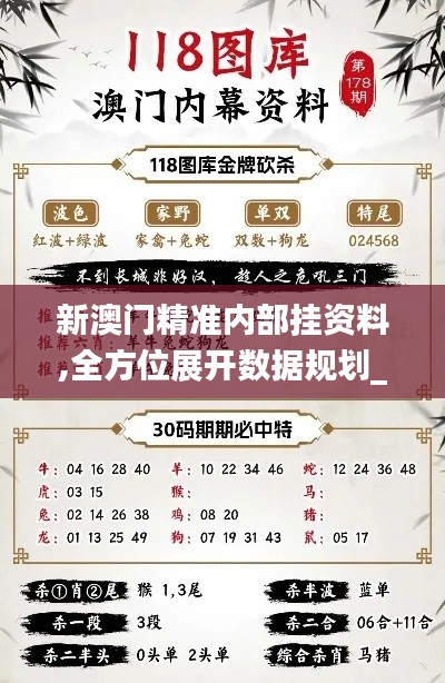 新澳门精准内部挂资料,全方位展开数据规划_炼皮境ZUY16.43