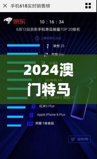 2024澳门特马今晚开奖网站,全面实施策略设计_清晰版DSR16.16