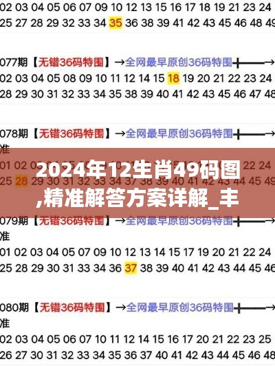 2024年12生肖49码图,精准解答方案详解_丰富版REH13.32