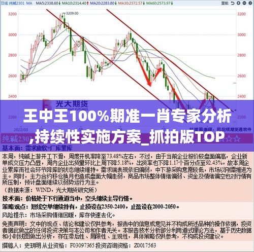 王中王100%期准一肖专家分析,持续性实施方案_抓拍版TOP16.68