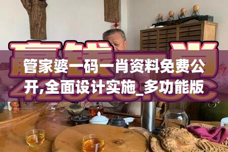 管家婆一码一肖资料免费公开,全面设计实施_多功能版LSQ13.15