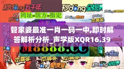 管家婆最准一肖一码一中,即时解答解析分析_声学版XQR16.39