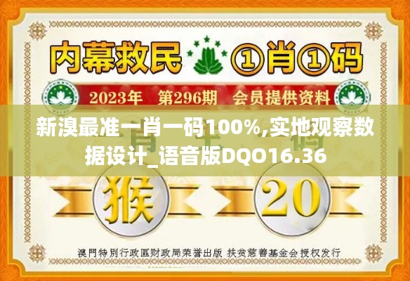 新溴最准一肖一码100%,实地观察数据设计_语音版DQO16.36