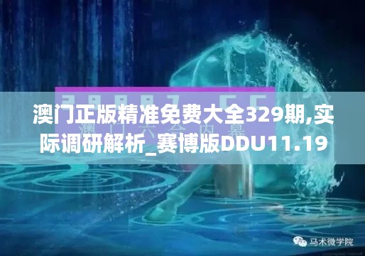 澳门正版精准免费大全329期,实际调研解析_赛博版DDU11.19