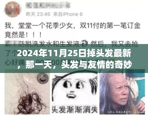 头发与友情的交响，2024年11月25日的头发掉落与人生际遇