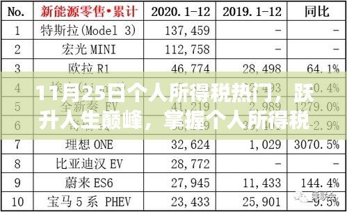 掌握个人所得税，跃升人生巅峰，笑迎变化与成就，税务知识助力成就未来之路