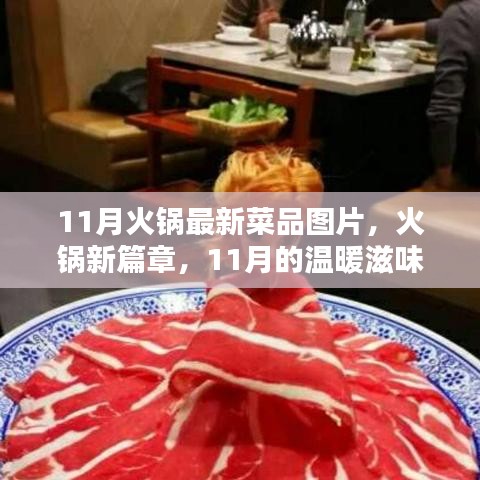 11月火锅新菜品图片，家的味道与火锅的温暖篇章