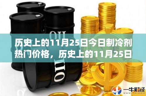 历史上的11月25日制冷剂价格概览及今日热门价格动态分析