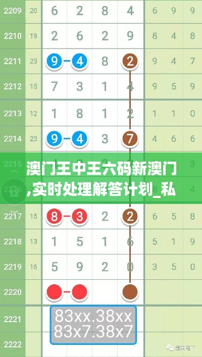 澳门王中王六码新澳门,实时处理解答计划_私人版SGG19.56