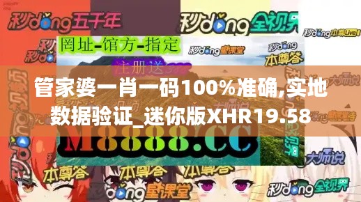 管家婆一肖一码100%准确,实地数据验证_迷你版XHR19.58